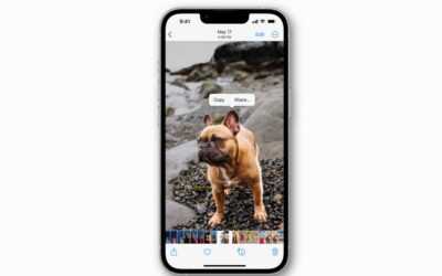 iOS 16’da bir görüntüden bir konu nasıl kaldırılır