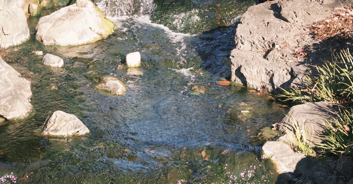 iPhone Nasıl Yapılır? Adım Adım Kılavuz ile Hayalinizdeki Cihazı Oluşturun! 1 iPhone-da-Nasıl-yapılır-adım-adım-kılavuz-45.jpeg