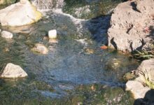 iPhone için En İyi Uygulama Önerileri: Adım Adım Rehberle Kendi Uygulamanızı Yapın 15 iPhone da Nasil yapilir uygulama onerileri b892078ba5a5fa94175702bbed79a50e