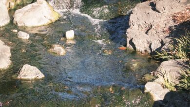 iPhone için En İyi Uygulama Önerileri: Adım Adım Rehberle Kendi Uygulamanızı Yapın 7 iPhone da Nasil yapilir uygulama onerileri b892078ba5a5fa94175702bbed79a50e